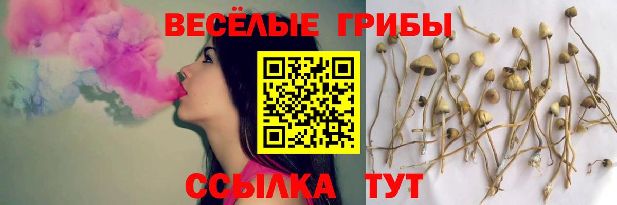 Галлюциногенные грибы мицелий  Галлюциногенные грибы MAGIC MUSHROOMS  Кизилюрт  купить  цена  Вход с VPN 